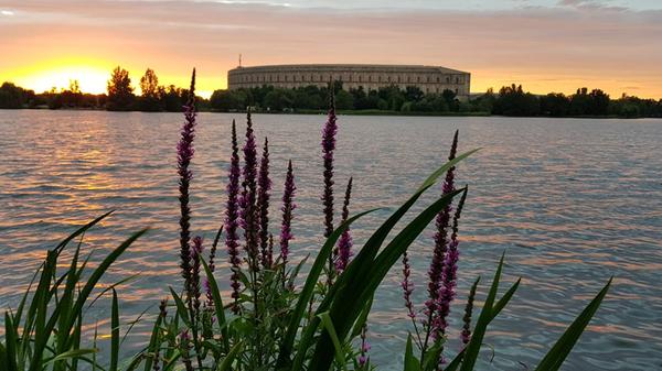 Wenn es wieder wärmer wird, ist auch der Dutzendteich ein absolutes Muss. Spaziergänge um den See sind im Frühling besonders schön. Bei milden Temperaturen kann man auch den Kaffee oder das Seidla im Freien genießen, und die Sonnenstrahlen im Biergarten der Wirtschaft Gutmanns perfekt ausnutzen.