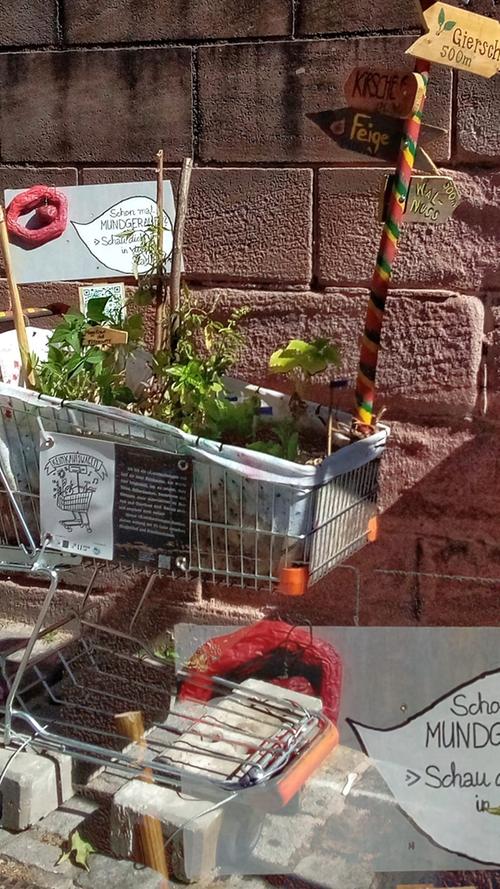 Tomaten, Paprika, was kann man hier noch entdecken? Ein mobiler Garten, um sein eigenes Gemüse zu ernten.