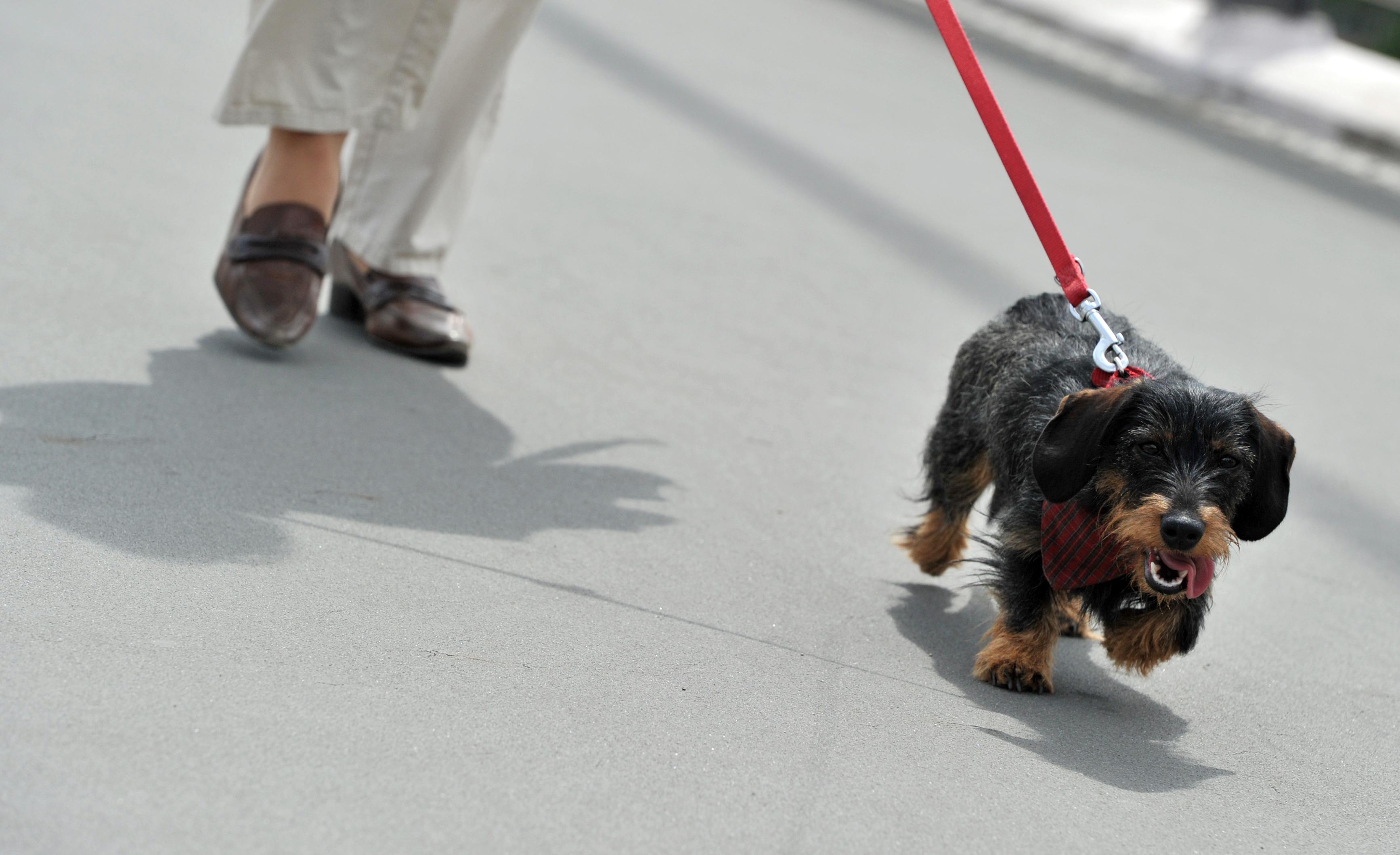 Ausgangssperre: Triftige Gr&uuml;nde, um die Wohnung zu verlassen