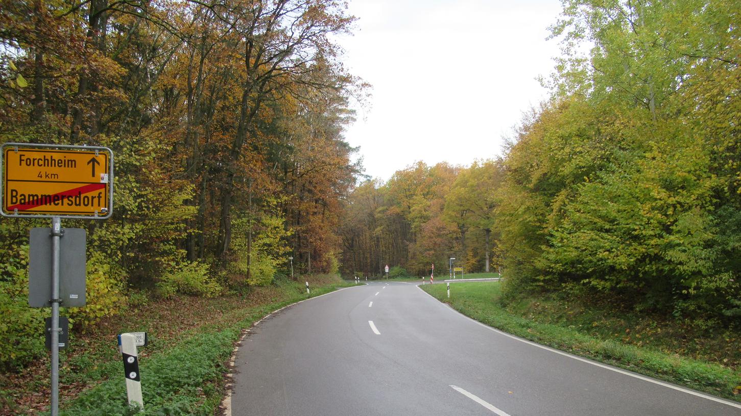 Neuer Radweg im Landkreis Forchheim schließt Lücke im Netz