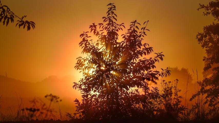 Der Sonnenaufgang bei Hemhofen mutet schon eher herbstlich als sommerlich an.