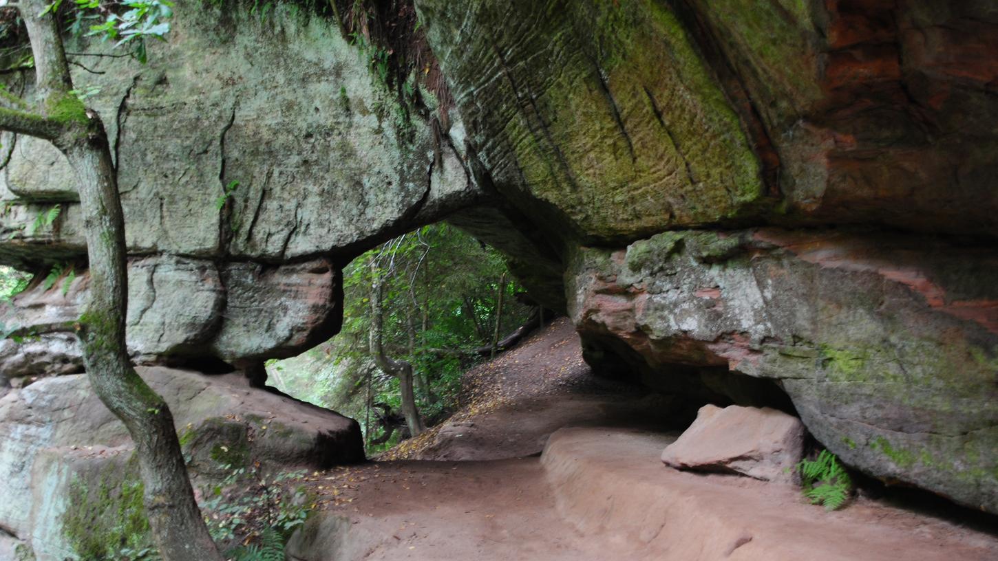 Der Wanderweg entlang der Schwarzach bis zum Brückkanal ist wildromantisch.