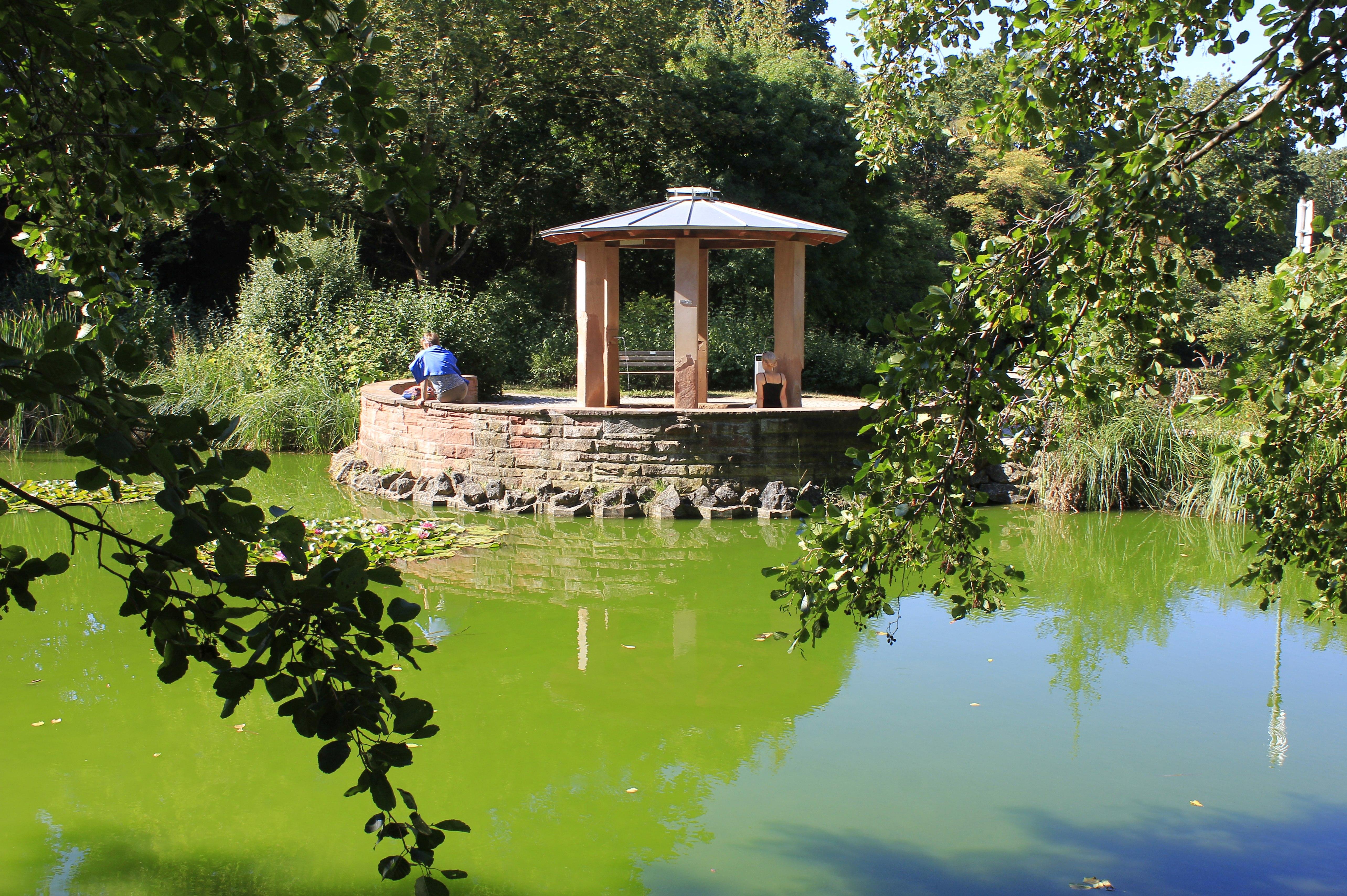 Es kommt von der Espanquelle in der etwas versteckt liegenden Parkanlage Kleine Mainau, wohl einer der schönsten Plätze der Stadt.