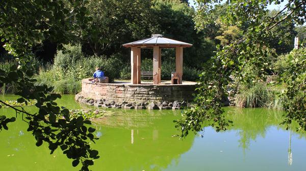 Es kommt von der Espanquelle in der etwas versteckt liegenden Parkanlage Kleine Mainau, wohl einer der schönsten Plätze der Stadt.