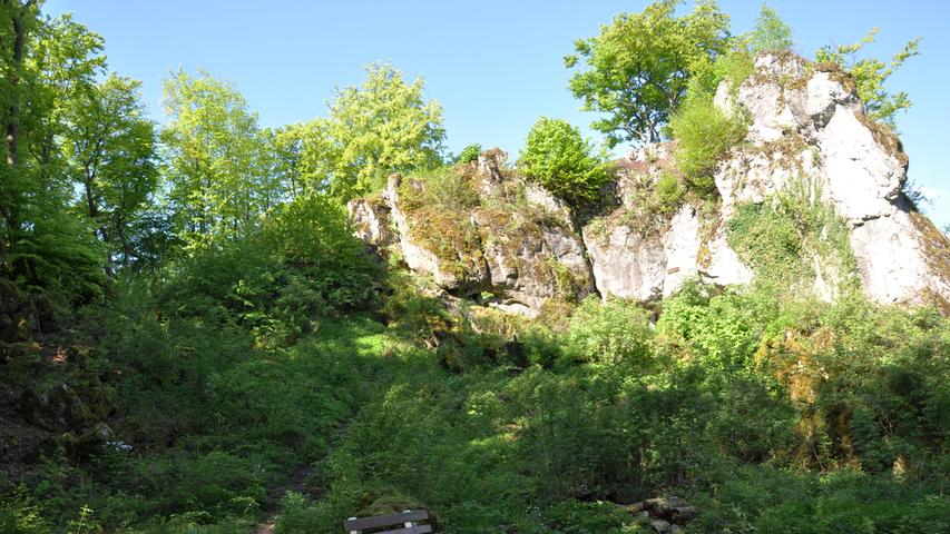 Um die Karsthöhle bei Engeldhardsberg (Wiesenttal, im Zentrum der Fränkischen Schweiz) rankt sich die Sage einer Liebesgeschichte zwischen einem Jäger und einer Fee. Gehen Sie dieser nach und erkunden Sie die an zwei Seiten geöffnete Felsengrotte. Dabei können Sie die Reste einer 17 Meter langen Höhlenruine in bizarrer Felsszenerie entdecken.