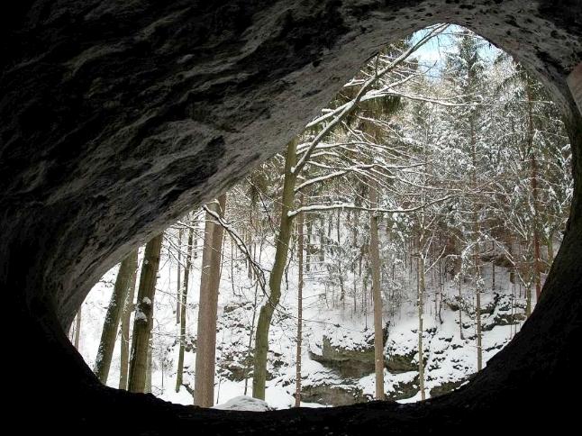 <p>Wer gerne in der Fränkischen Schweiz wandert, sollte das Große Hasenloch bei Pottenstein kennen. Die 31 Meter lange Höhle lässt sich, ausgestattet mit einer Taschenlampe, auch gut mit Kindern erkunden. Das Hasenloch diente während der Eiszeit als Schutzhöhle, hier wurden zahlreiche Feuersteinwerkzeuge, Knochenwerkzeuge und Knochen von urzeitlichen Tieren wie Höhlenbär, Höhlenlöwe und Mammut gefunden.</p>
