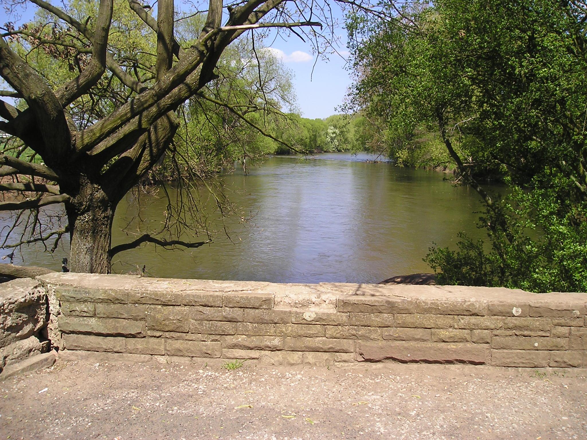 So sah es hier zuvor aus: Ein Zugang zum Ufer war nicht möglich, weder direkt an der Spitze, dem Zusammenfluss von Rednitz und Pegnitz...