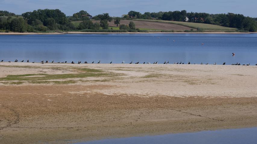 Wenig Wasser und nicht viel los am Rothsee. Den Wasservögeln gefällt's.