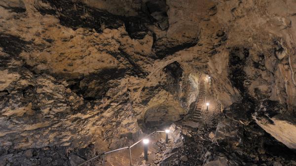 <p>Östlich von Neuhaus an der Pegnitz im Nürnberger Land befindet sich die Tropfsteinhöhle Maximiliansgrotte mit dem größten Tropfstein Deutschlands. Entdecken Sie bei einer Führung, was sich hier hinter der Orgelgrotte, der Schatzkammer oder dem Eisberg verbirgt. <strong>Die Maximiliansgrotte ist von Anfang April bis Anfang November mit Führungen begehbar.</strong></p>