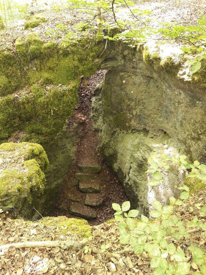 <p>Die natürliche Karsthöhle bei Münzinghof (Stadt Velden im Nürnberger Land) besteht aus drei hintereinander liegenden Hallen mit einer Gesamtlänge von ungefähr 145 Metern. In ihr ist neben Tropfsteinen, Wand- und Bodensintern auch Höhlenlehm zu entdecken. Dieser wurde dort während des 17. und 18. Jahrhunderts zur Gewinnung von Heilerde abgebaut. Die Höhle ist nur zugelassenen Forschern über einen tiefen Einsturztrichter zugänglich.</p>
