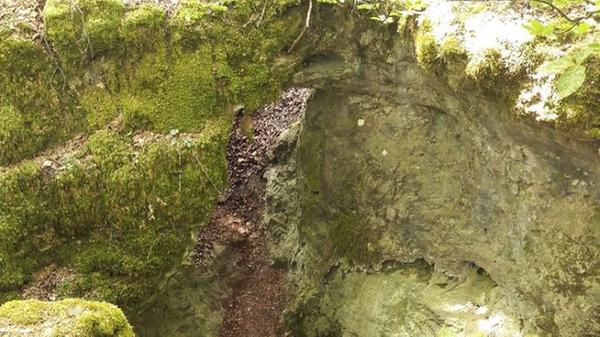 <p>Die natürliche Karsthöhle bei Münzinghof (Stadt Velden im Nürnberger Land) besteht aus drei hintereinander liegenden Hallen mit einer Gesamtlänge von ungefähr 145 Metern. In ihr ist neben Tropfsteinen, Wand- und Bodensintern auch Höhlenlehm zu entdecken. Dieser wurde dort während des 17. und 18. Jahrhunderts zur Gewinnung von Heilerde abgebaut. Die Höhle ist nur zugelassenen Forschern über einen tiefen Einsturztrichter zugänglich.</p>