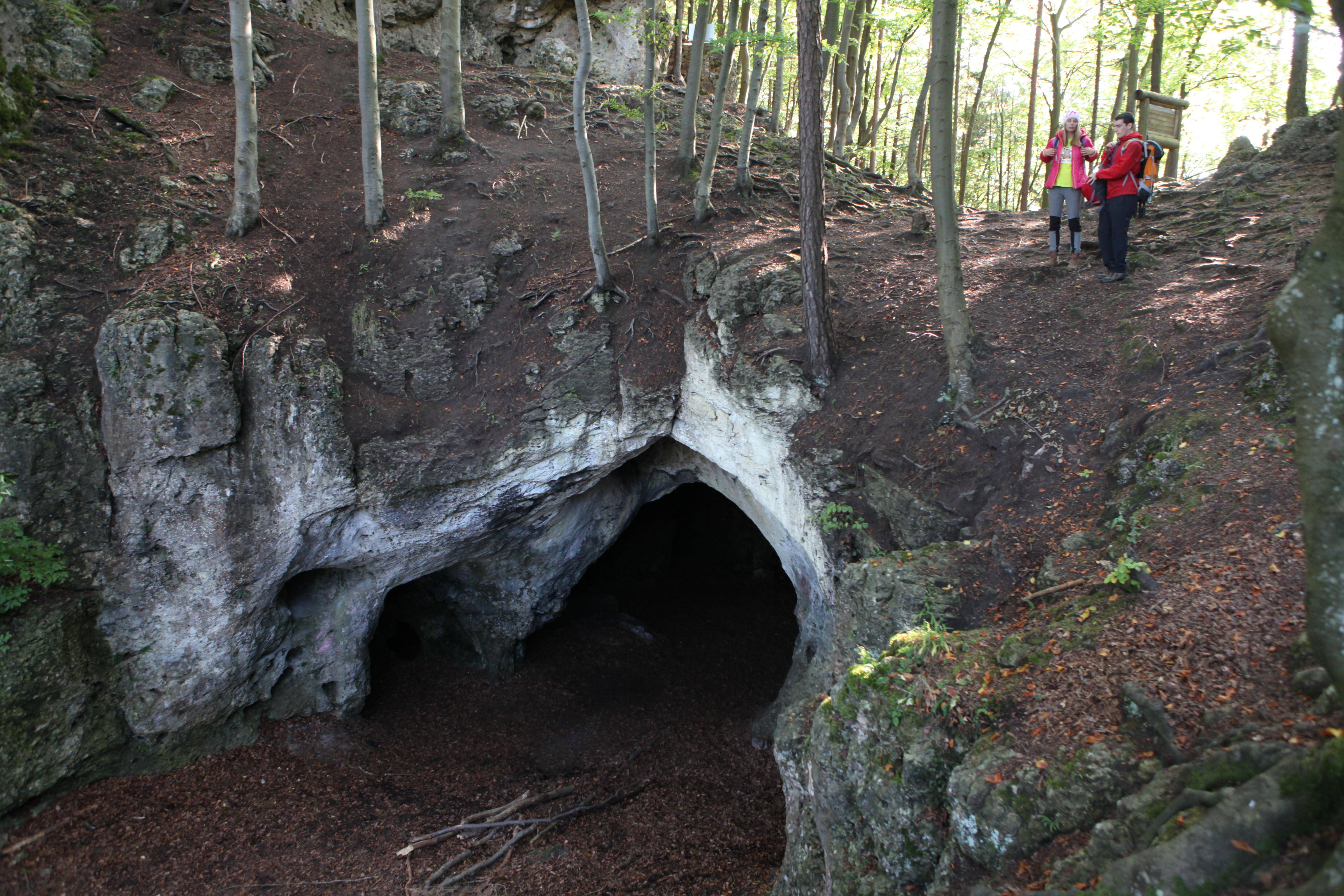 <p>Die Petershöhle befindet sich einen Kilometer nördlich von Hartenstein (Landkreis Nürnberger Land). Sie bildet ein verzweigtes Etagensystem, das aus mehreren verbundenen Hallen besteht. Mit Höhlenerfahrung und entsprechender Ausrüstung kann man die Höhle mit einer Gesamtganglänge von rund 70 Metern erkunden.</p>
