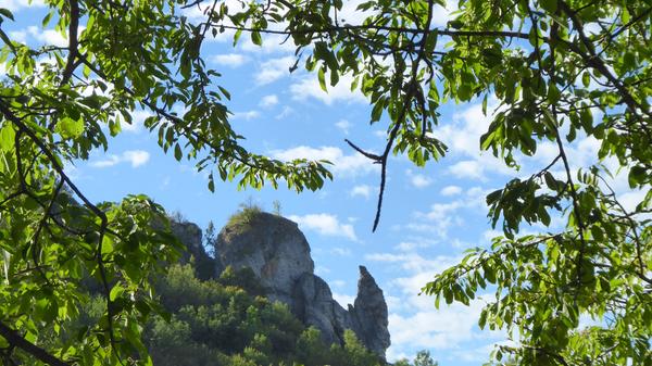 Die sogenannte "Steinerne Frau" am Walberla. So heißt diese Felsformation offiziell, die Norbert Haselbauer bei seiner Wanderung gesehen und fotografiert hat.