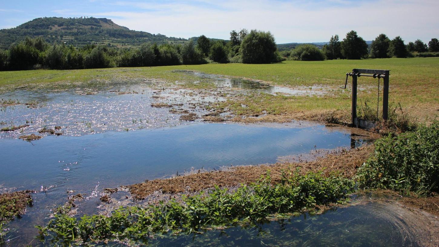 Pretzfeld: Die Wässerwiesen sollen in die Unesco-Liste