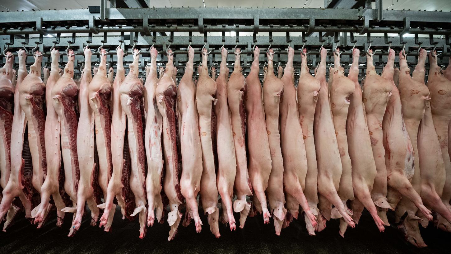 Nach dem ersten Fall der Afrikanischen Schweinepest in Deutschland hat China ein Importverbot für deutsches Schweinefleisch verhängt.