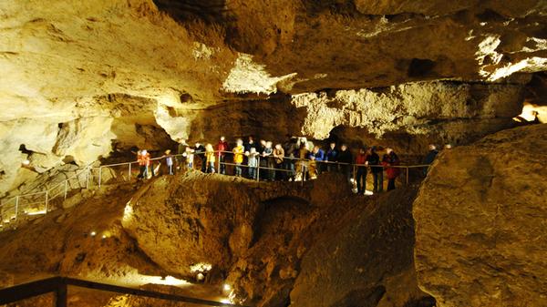 <p>Unweit der Burg Rabenstein in der Gemeinde Ahorntal im Landkreis Bayreuth findet man diese beeindruckende, noch aktive Tropfsteinhöhle. Doch was heißt schon "die Höhle"? Eigentlich besteht die Sophienhöhle aus einem Komplex von vier Höhlen: das Ahornloch (Eingangsportal), die Klaussteinhöhle, die 1833 entdeckte eigentliche Sophienhöhle und die zunächst verfüllte Höschhöhle. Zusammen bilden die vier Höhlen den Klaussteinhöhlen-Komplex oder eben "die Sophienhöhle". Bemerkenswert: Der Komplex erstreckt sich auf einer Länge von 900 Metern, die eigentliche Sophienhöhle kommt auf rund 500 Meter Länge. <strong>Die Sophienhöhle ist von Ende März bis Anfang November für Führungen geöffnet.</strong></p>