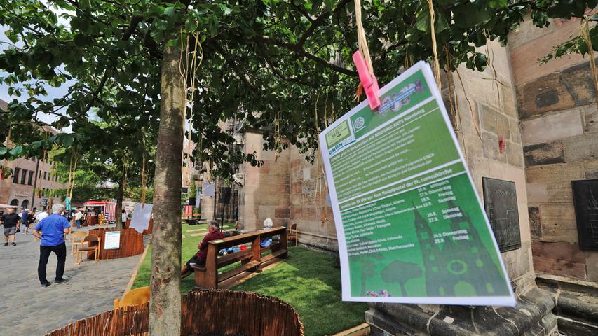 Mehr Natur in der Stadt: Verein verwandelt Lorenzkirche in eine grüne Oase