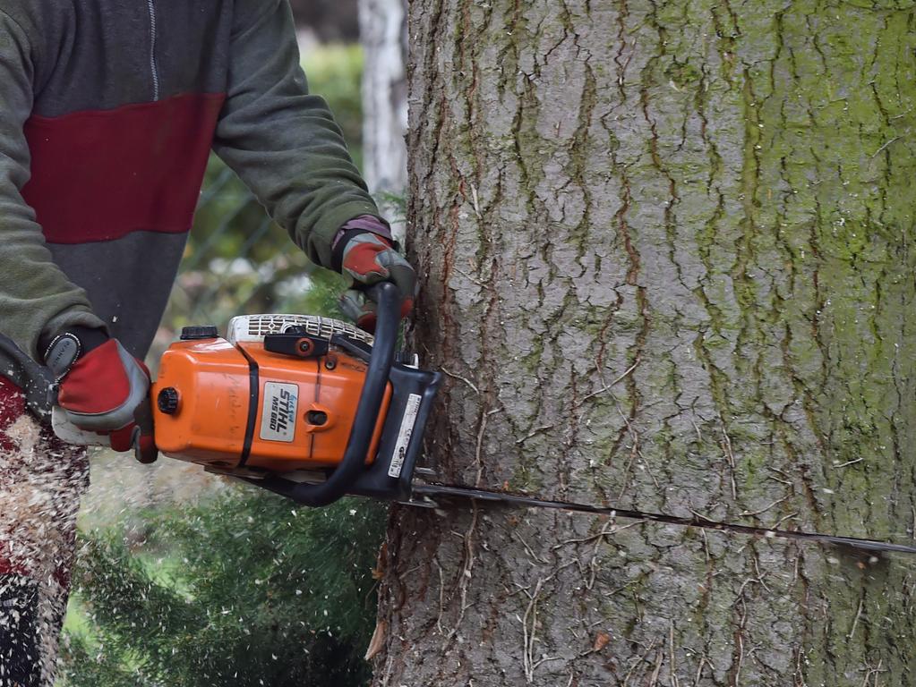Zwist In Hersbruck Familienstreit Um Playstation Eskaliert Hersbruck Nordbayern De