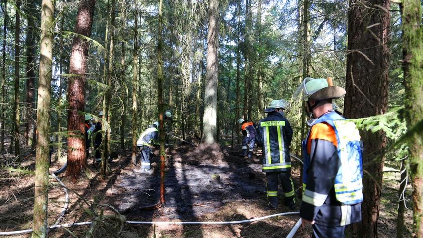Pilzsammler entdeckt Waldbrand bei Pyrbaum