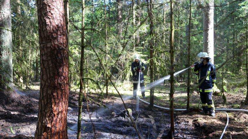 Pilzsammler entdeckt Waldbrand bei Pyrbaum