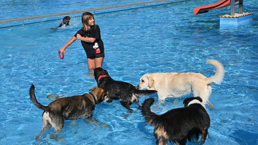 Nasses Vergnügen für Vierbeiner: Der Hundebadetag in Thalmässing