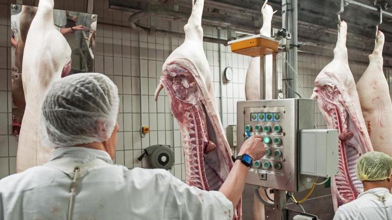 Razzien gegen illegale Leiharbeit in Fleischindustrie