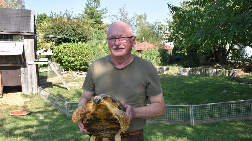 Wenn Ottmar Brunner im Kreise seiner Schildkröten ist, ist er glücklich. Mehrere hundert hat er davon. 