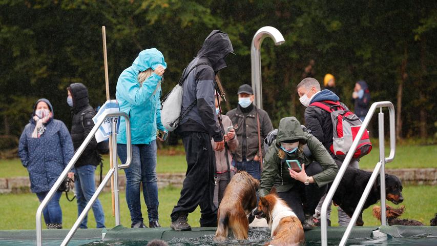 Vierbeiner im kühlen Nass: Der Hundebadetag 2020 in Nürnberg
