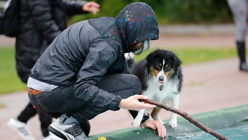 Vierbeiner im kühlen Nass: Der Hundebadetag 2020 in Nürnberg