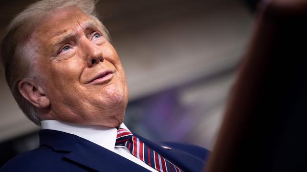 Amerika wählt - und zwar am 3. November 2020. Zur Wahl stehen an diesem Tag keineswegs nur Donald Trump, der republikanische Amtsinhaber (im Bild), und sein demokratischer Kontrahent Joe Biden. Wir haben für Sie in einer Bildergalerie zusammengetragen, was Sie wissen müssen, um mitreden zu können.