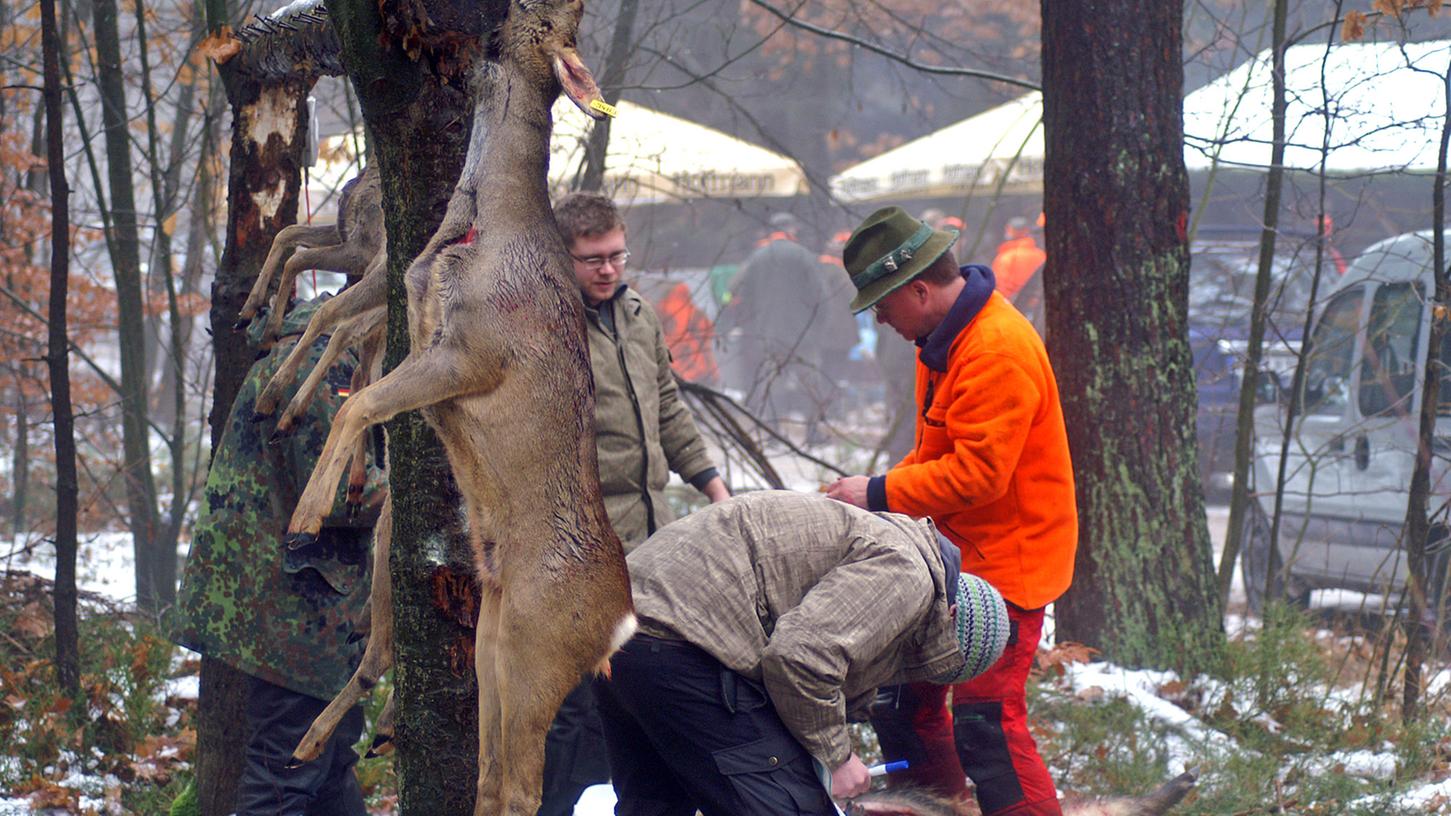 Die Abschusszahlen für Reh und Hirsch sind in den letzten Jahren gestiegen. Doch Vertreter von Bund Naturschutz und ökologischem Jagdverband sowie einige Waldbesitzer sind dafür, die Abschussquoten noch einmal deutlich anzuheben, um dem Verbiss vorzubeugen. 