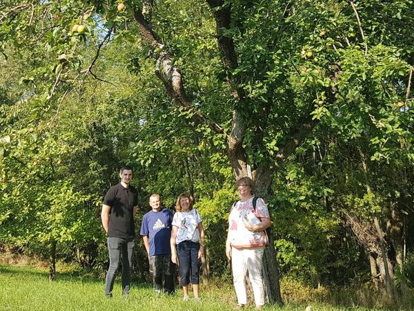 Streuobstwiesen-Projekt in Gaiganz widmet sich Pflege alter Obstbäume