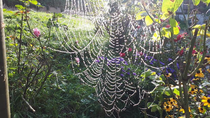 Der Oktober beginnt wunderschön und ganz typisch sind natürlich die vielen Spinnennetze.