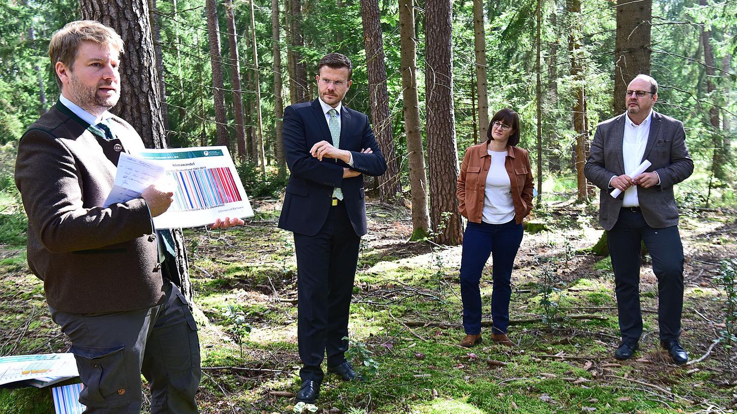 Johannes Wurm von den Staatsforsten, OB Marcus König, Umweltreferentin Britta Walthelm und Bürgermeister Christian Vogel (v.li.) stellten die Waldstrategie vor.