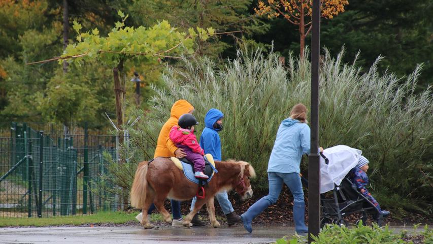 ...oder auf dem Pony reiten - bei Center Parcs ist alles auf Kinder ausgerichtet.