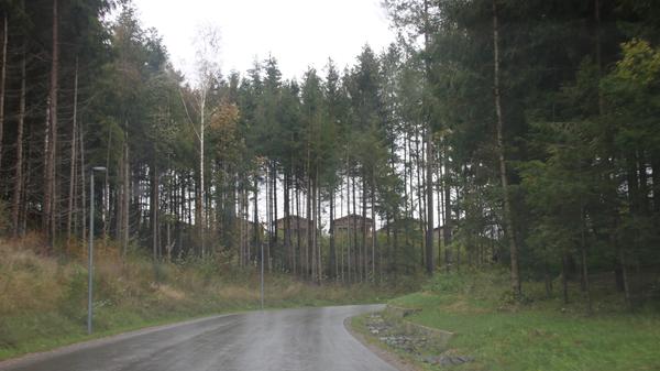 Verkehrsbelastung: maximal 1000 Autos zusätzlich sind es laut dem Leutkircher Oberbürgermeister pro Tag durch den Park. Und die würden sich auf viele Stunden des Tages verteilen. Center Parcs hat eine eigene Erschließungsstraße von der Bundesstraße her gebaut. Im Ergebnis habe man in Leutkirch keine Verkehrsprobleme durch den Park, so der OB.