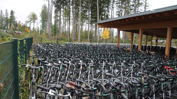 Im Park selbst sind keine Autos erlaubt. Sie werden auf einem zentralen Parkplatz abgestellt. Dafür kann man sich für die Wege im Park oder die nähere Umgebung Räder mieten. 2500 stehen zur Verfügung. Es führt ein eigener Radweg zum Center Parc.