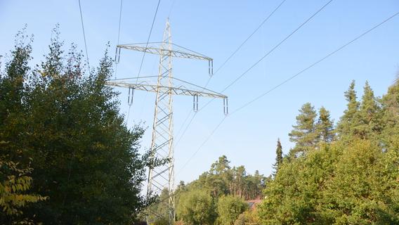 Die bestehende Leitung erläuft bei Wolkersdorf durch den Wald und auch nahe an der Bebauung. Wird sie ertüchtigt, müssen auch Bäume weichen.
Die bestehende Leitung erläuft bei Wolkersdorf durch den Wald und auch nahe an der Bebauung. Wird sie ertüchtigt, müssen auch Bäume weichen.