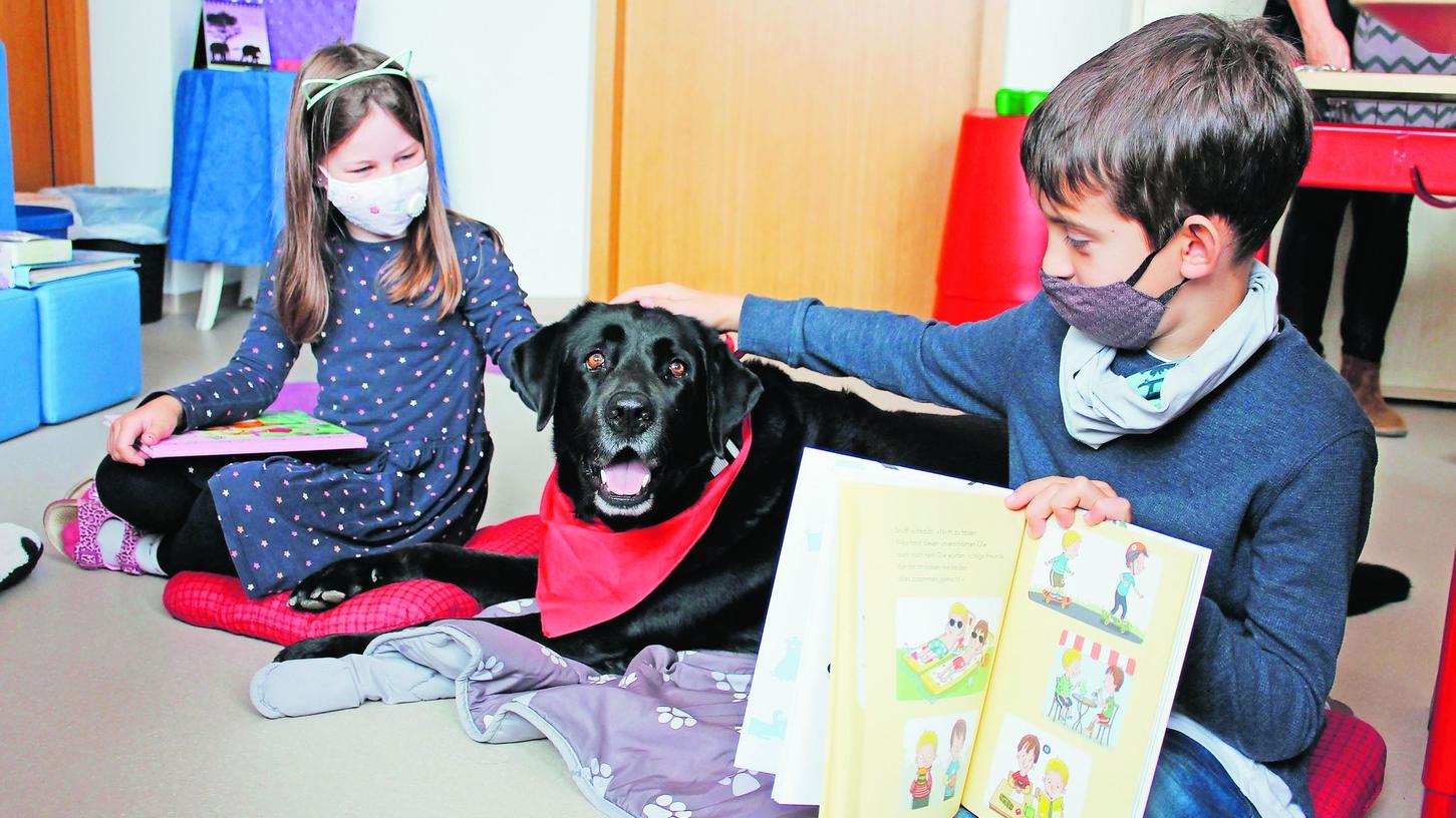 Wau statt Angst: Vierbeiner Benny hilft Kindern beim Lesen