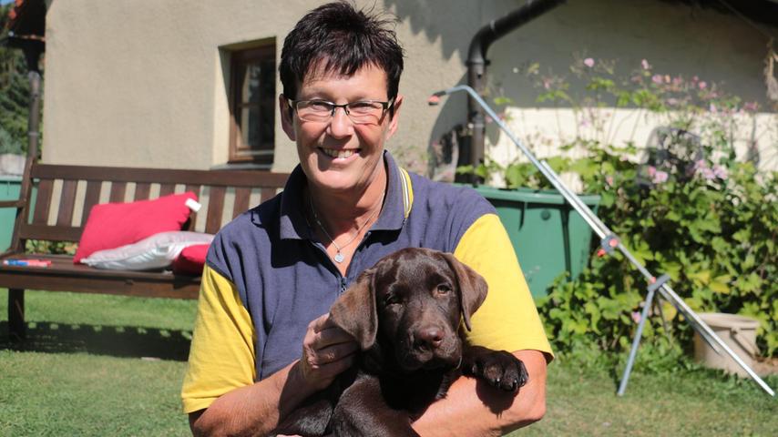 rare welpen in altmuhlfranken pleinfeld wettelsheim nordbayern de