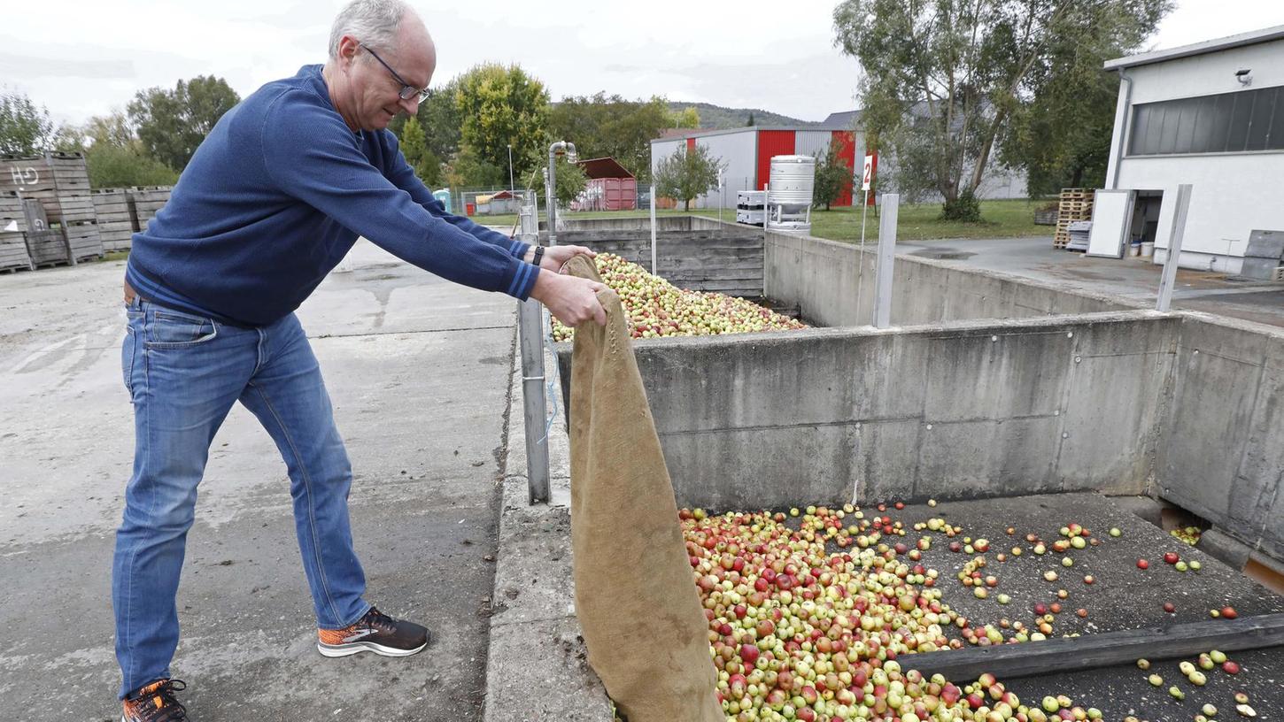Fränkische Schweiz: Apfelernte ist heuer durchschnittlich