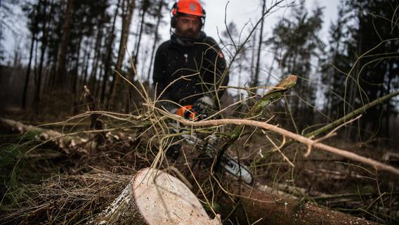 Bei Baumfällung: 37-Jähriger von Baumteller überrollt und schwer verletzt