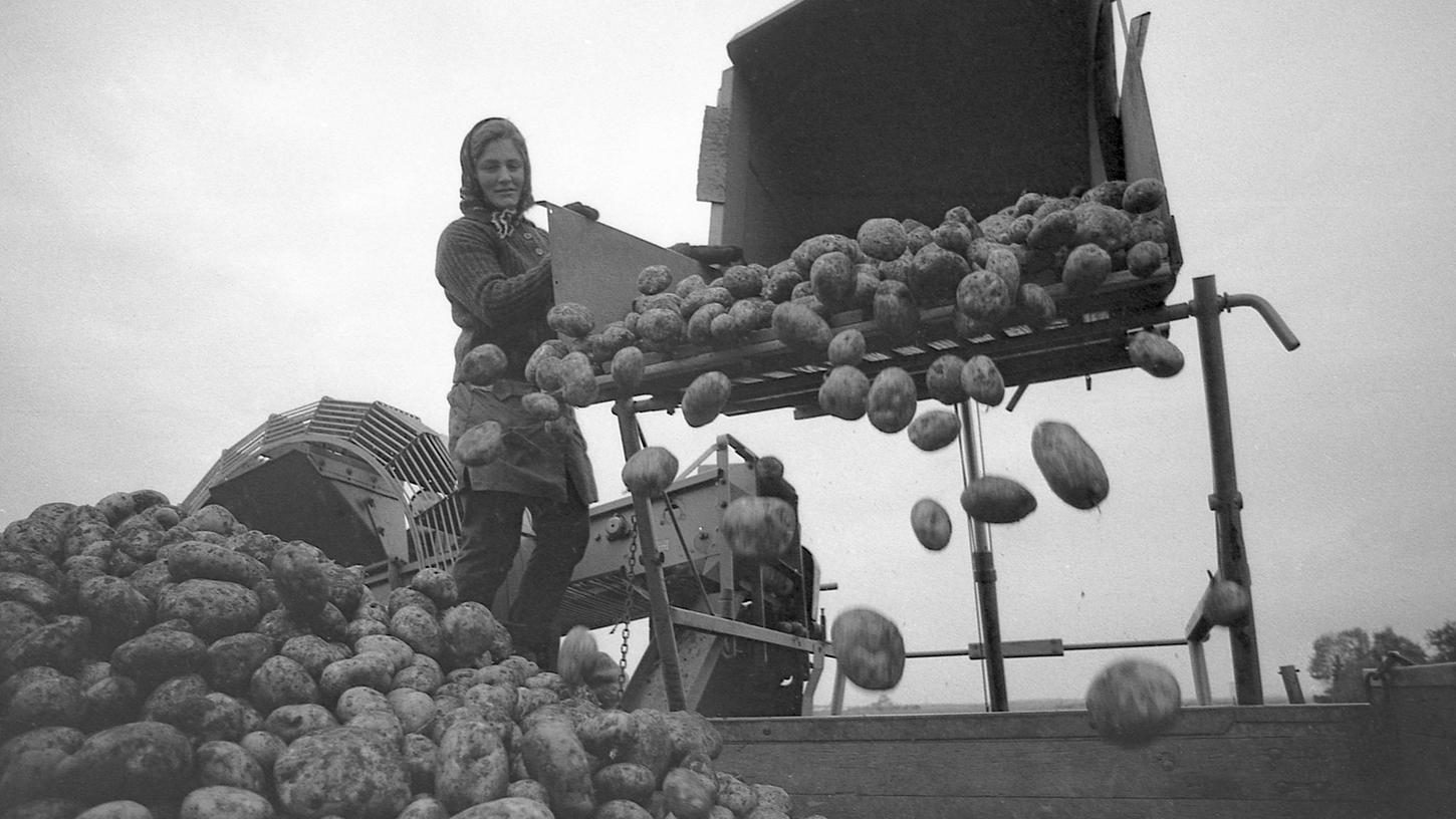 27. Oktober 1970: Kartoffeln einkellern