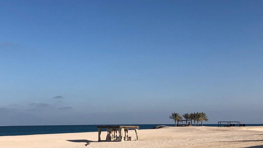 Die Insel Sir Bani Yas ist eine Überraschung für Besucher Abu Dhabis. Denn auf dieser kleinen Insel ist man in die Natur katapultiert.
