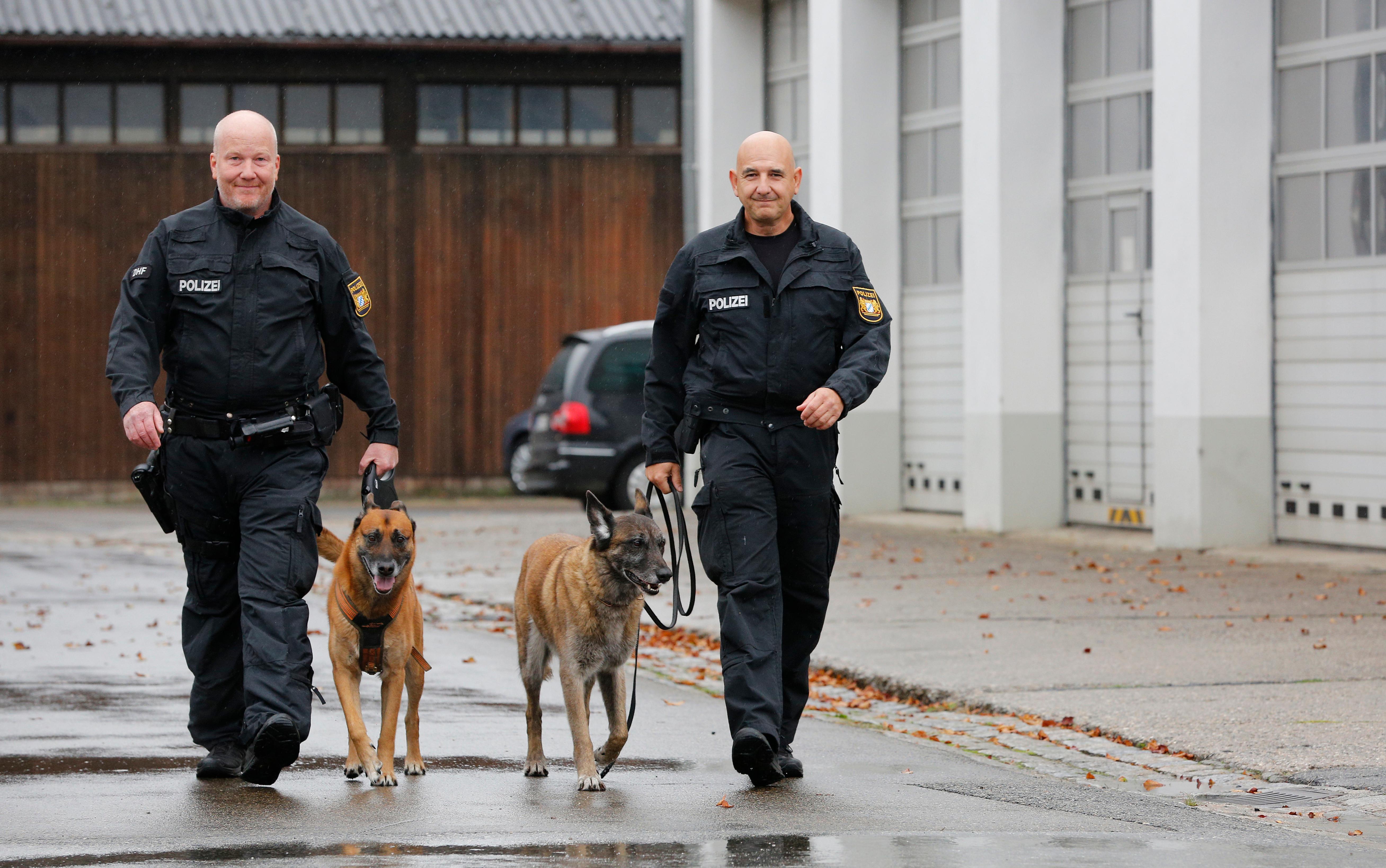 hol das stickchen diensthunde der polizei suchen bald datentrager nurnberg nordbayern de