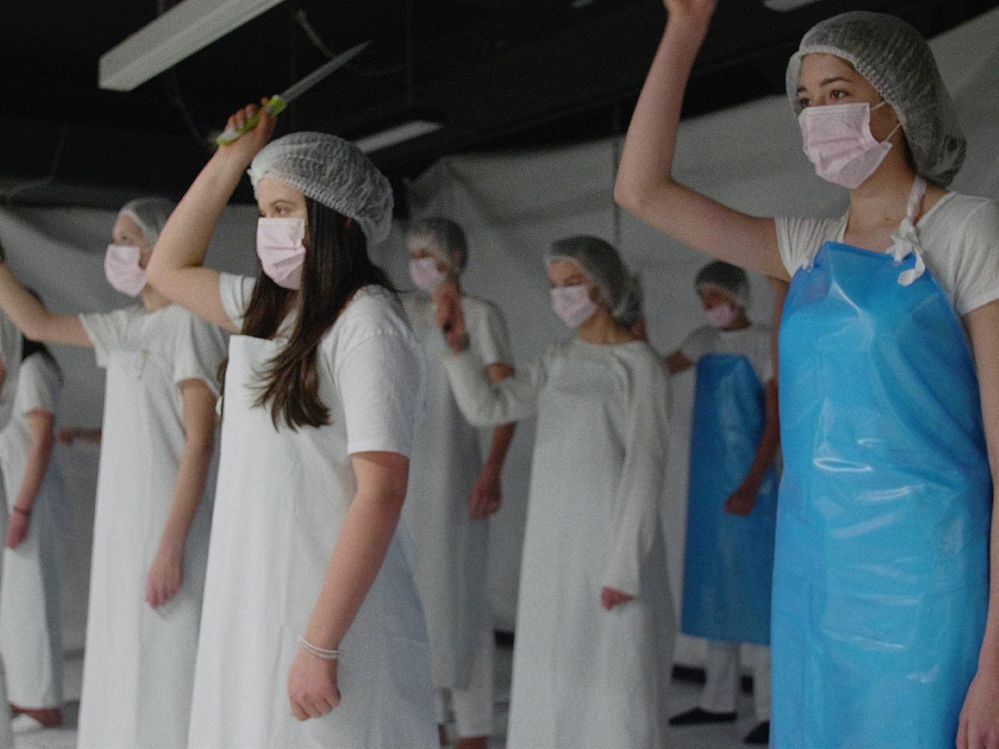 Im größten Schweineschlachtbetrieb Deutschlands müssen osteuropäische Leiharbeiter unter harten Bedingungen arbeiten. Aktivisten setzten sich bei den Behörden für mehr Rechte der Leiharbeiter ein. Parallel dazu proben Gymnasiasten in München das Stück "Die Heilige Johanne der Schlachthöfe". Über diese zwei Ebenen werden die Bedingungen, unter denen Leiharbeiter in Deutschland leben, für den Zuschauer nachvollziehbar.   In diesen Kinos läuft der Film.