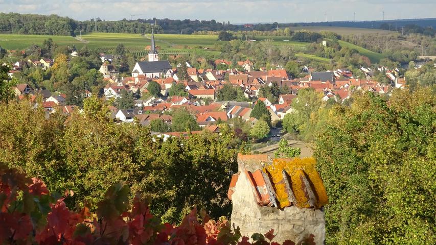 Der romantische Winzerort Sulzfeld am Main liegt nur 20 Autominuten von Würzburg entfernt. Die Leserreporter reisten...