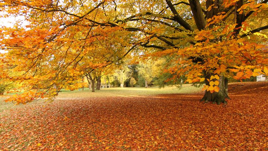 Herbstidylle im Schlosspark