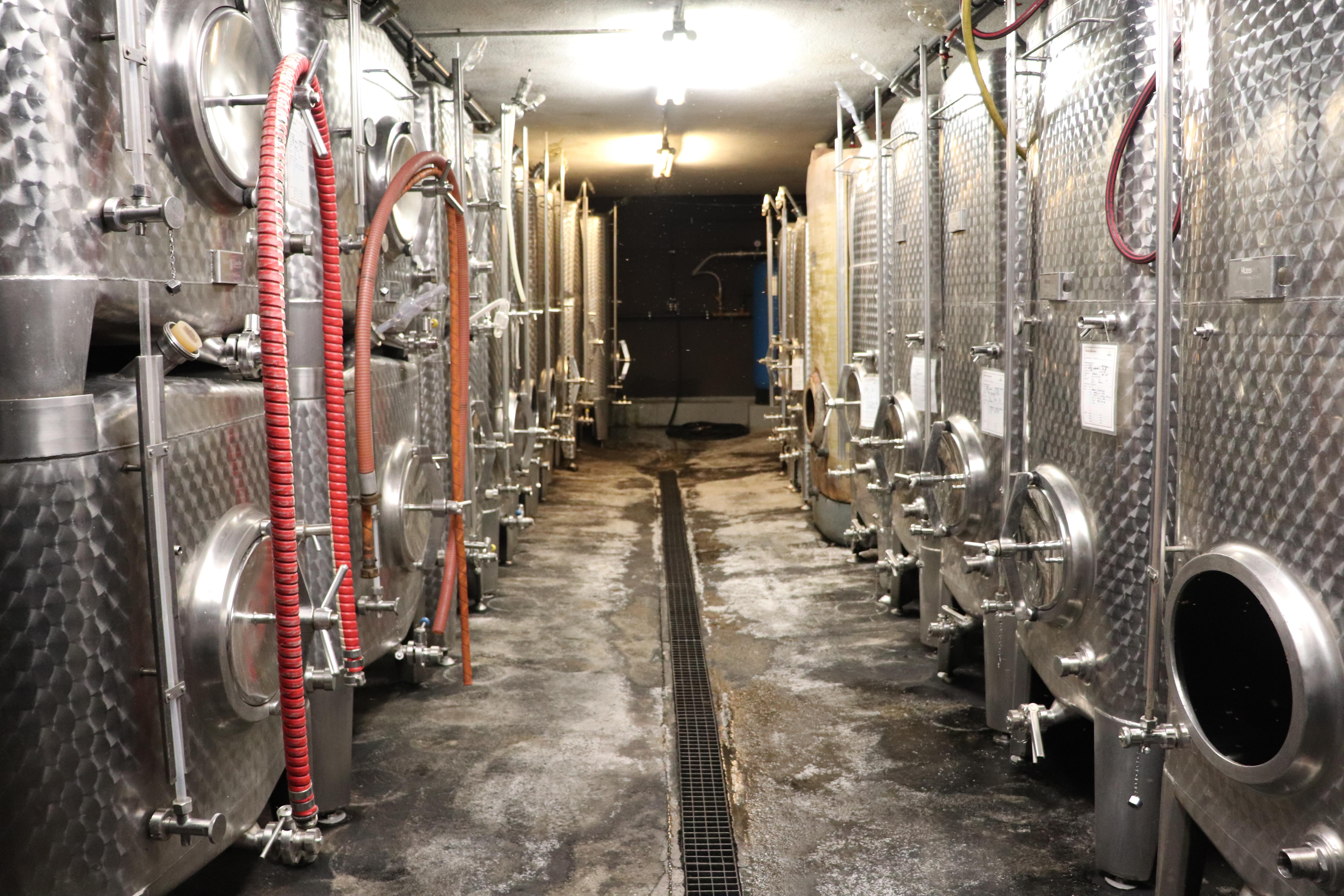 Von der Traube zur Flasche Die Weinherstellung