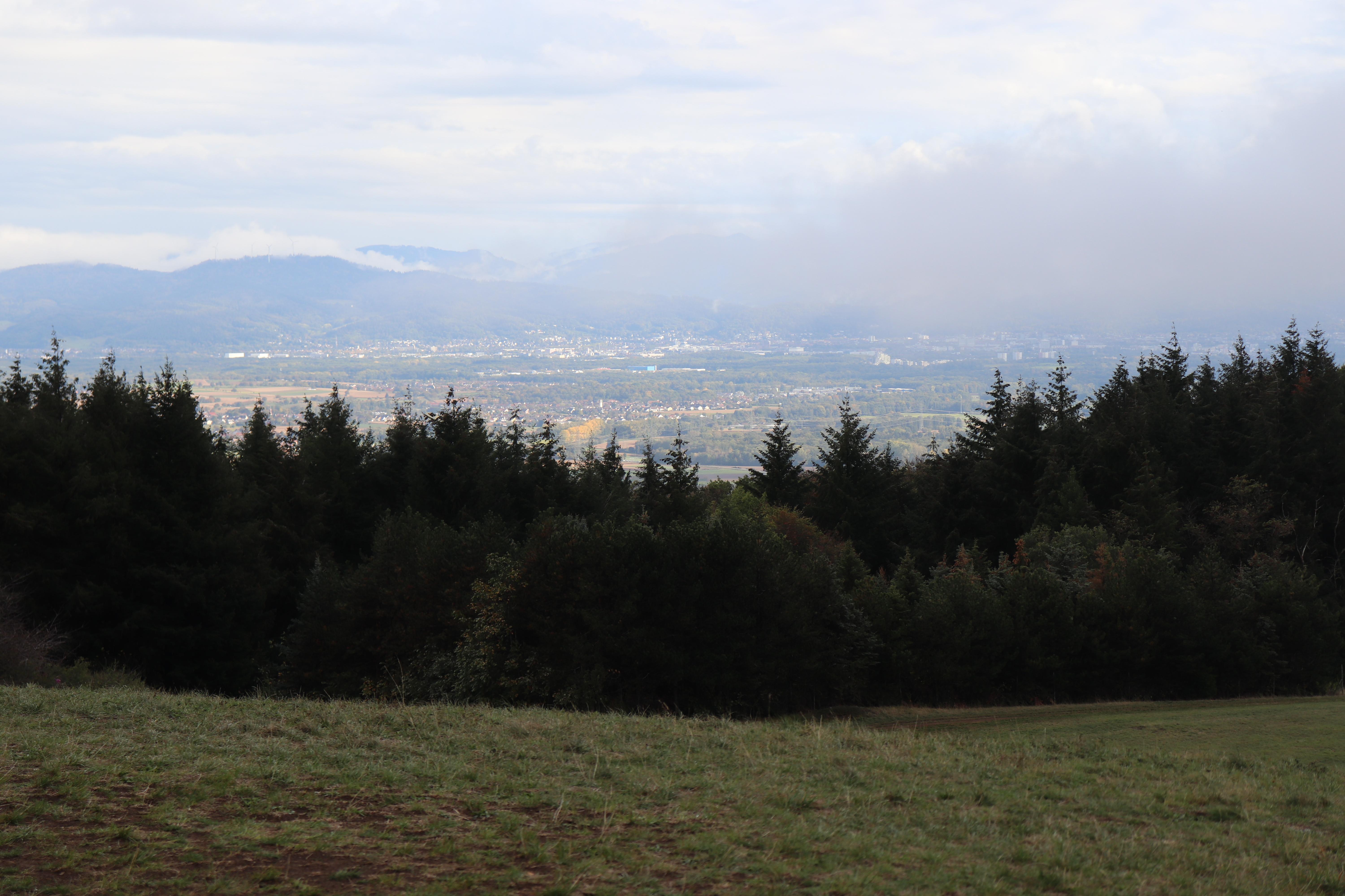 Im dem einem Moment Nebel, im anderen Sonnenschein. Was das Wetter im Kaiserstuhl angeht, wird einem nicht langweilig.